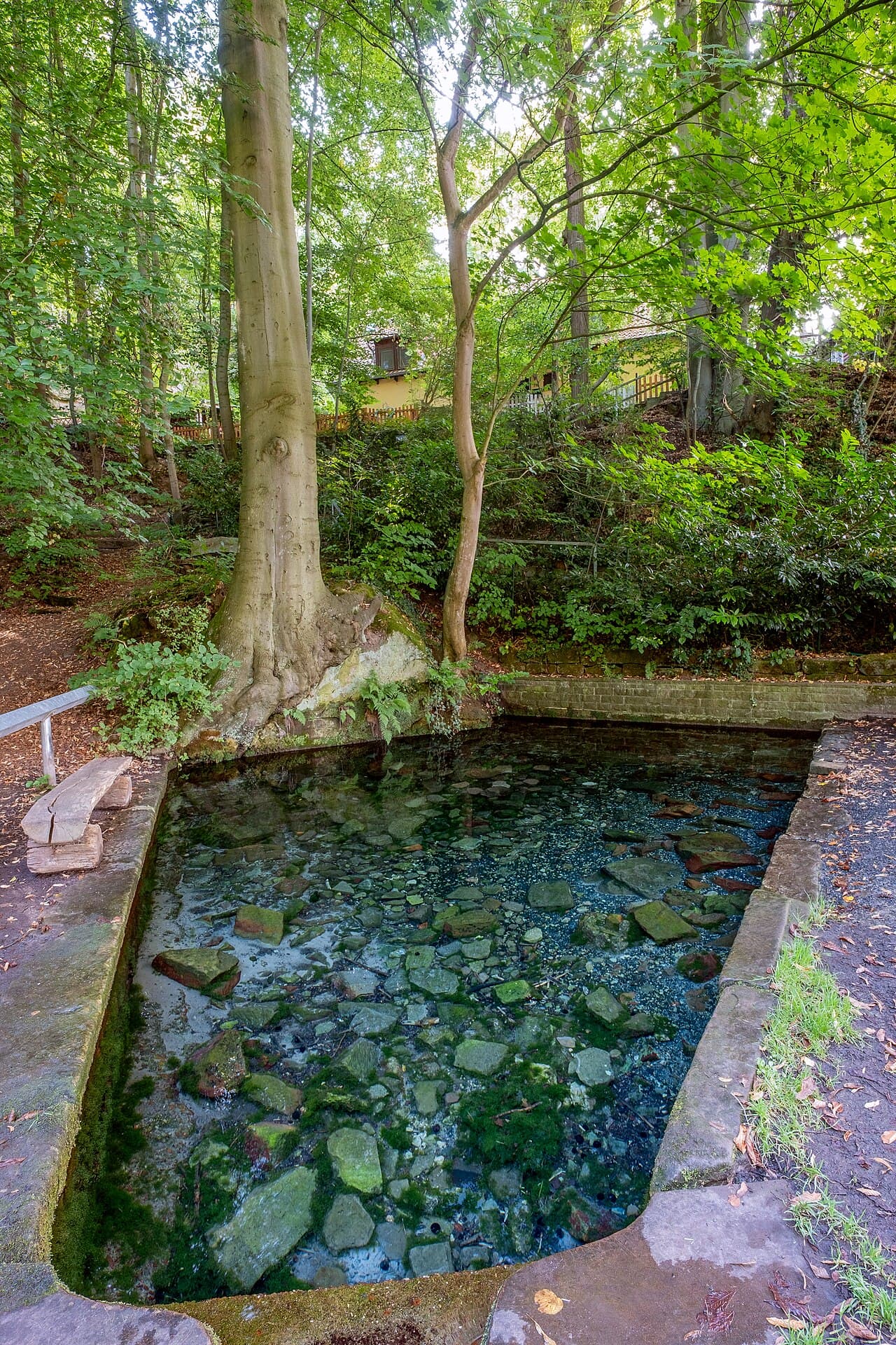 Rauschenwasser
