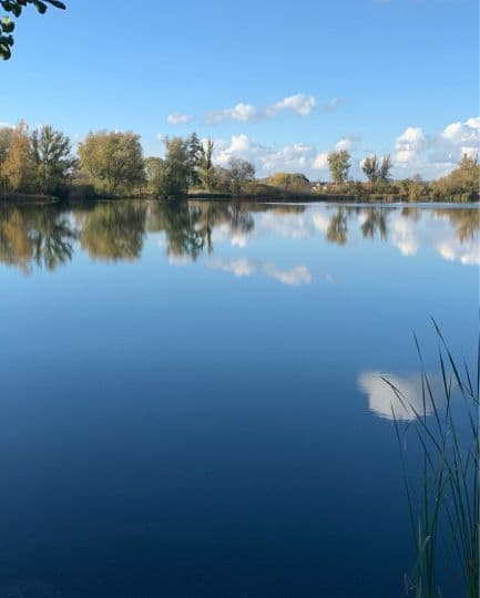 Steinlaketeich